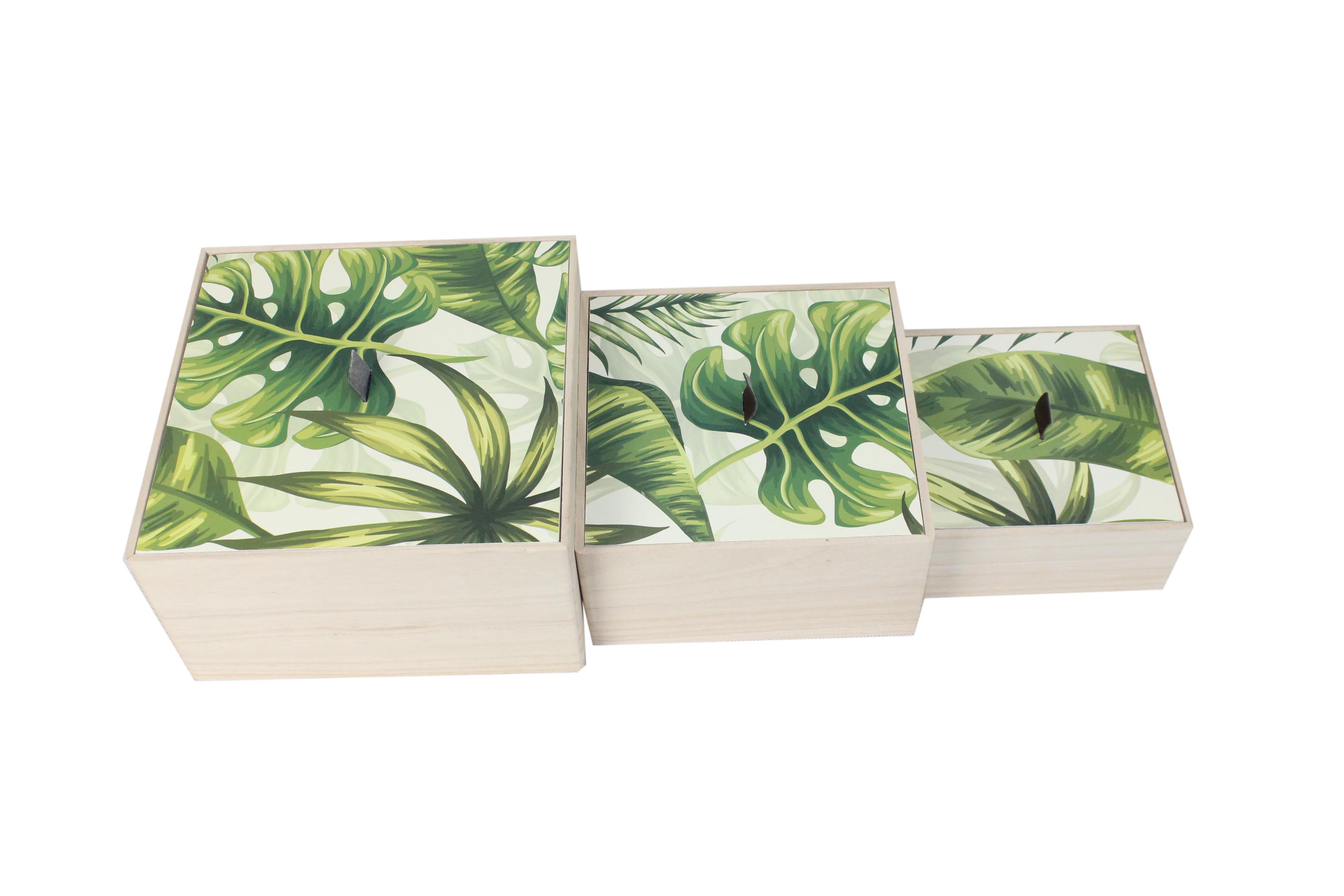  wooden box jungle, keepsake box-4984